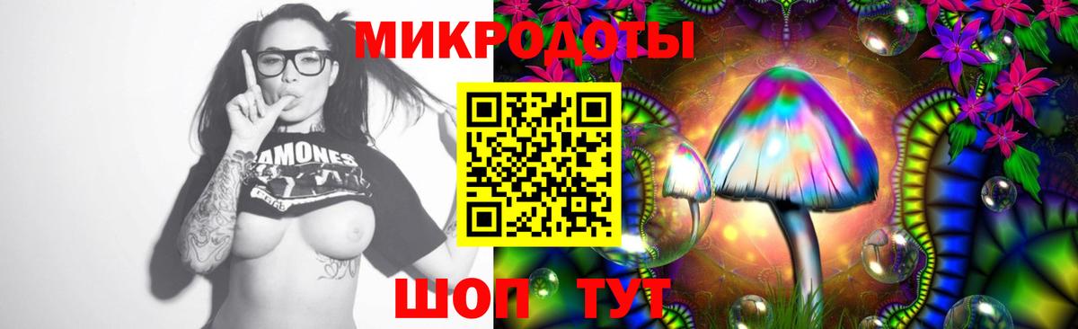 Пенза  Галлюциногенные грибы Psilocybine cubensis  закладка  Вход с VPN 